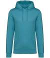 NS401 Unisex Heavyweight Hooded Sweatshirt Adriatic Blue colour image